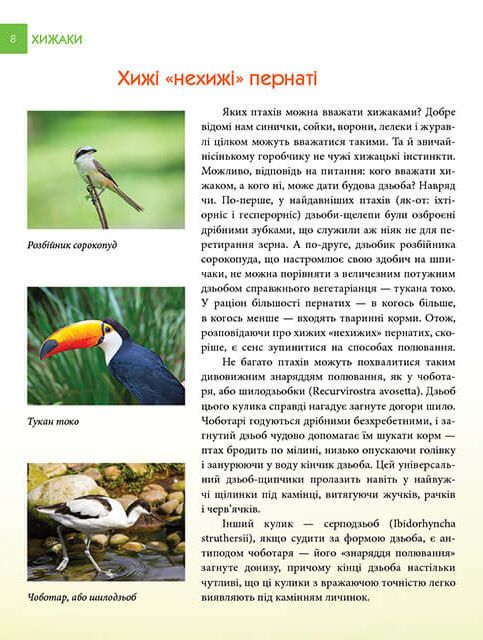 Книга Хижаки. Енциклопедія для допитливих . Фото 3