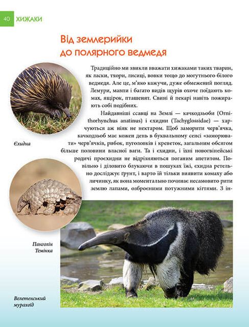 Книга Хижаки. Енциклопедія для допитливих . Фото 7