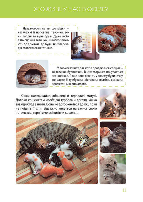 Книга Велика книга про тварин. Фото 4