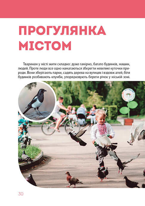 Книга Велика книга про тварин. Фото 7