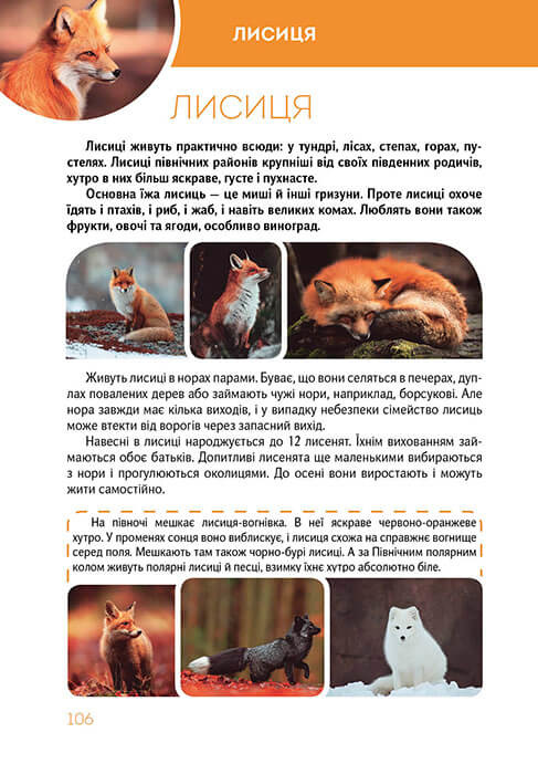 Книга Велика книга про тварин. Фото 9