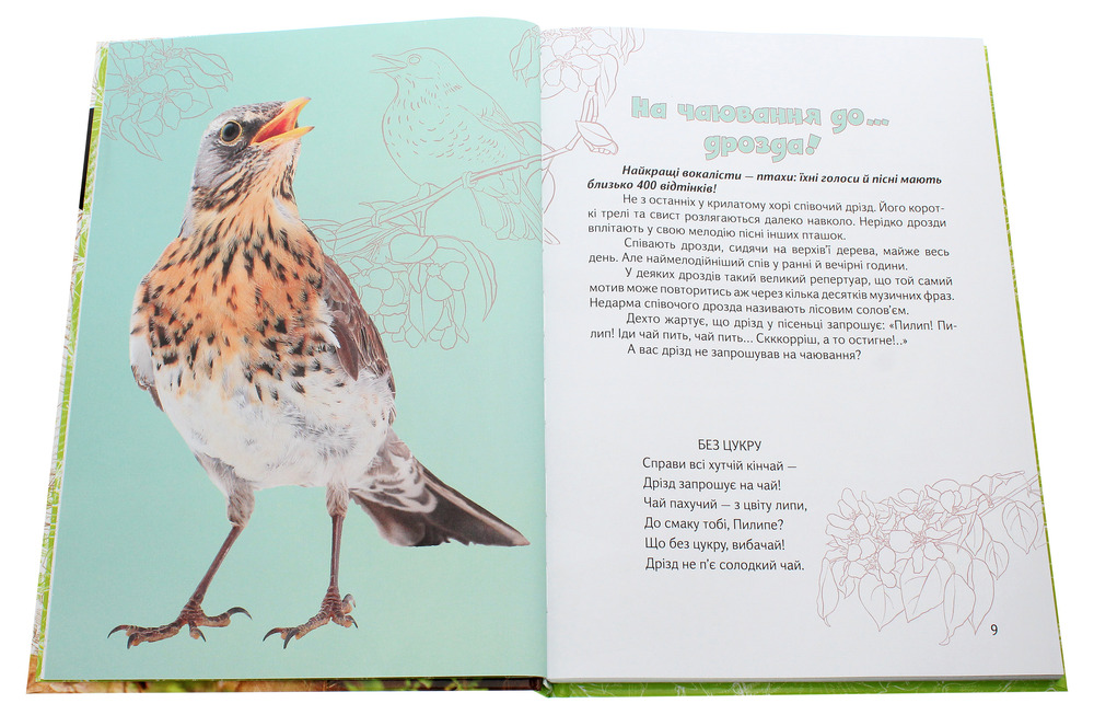 Книга Вусохвості й лапокрилі. Читанка про тварин. Фото 5