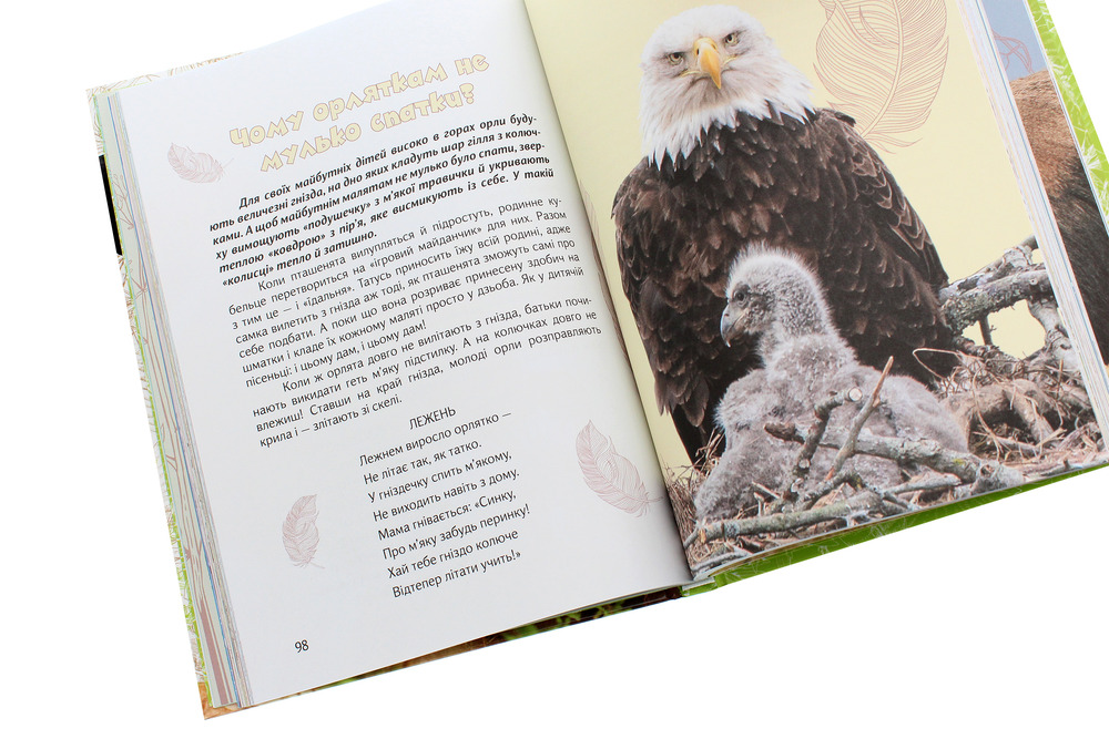 Книга Вусохвості й лапокрилі. Читанка про тварин. Фото 7