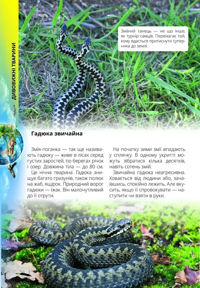Книга Про все на світі маленьким українцям. Фото 4