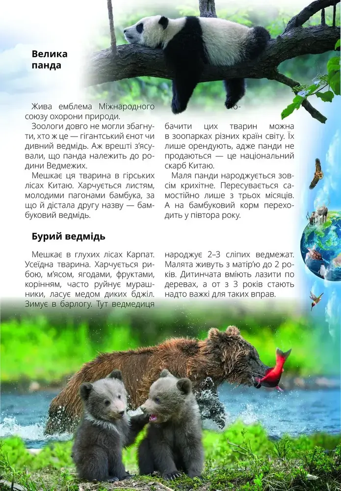 Книга Про все на світі маленьким українцям. Фото 2