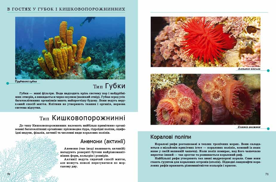 Книга Комахи та інші. Енциклопедія для допитливих. Фото 6