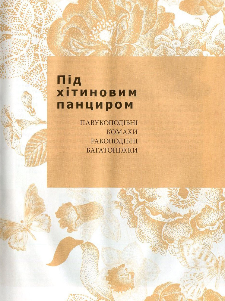 Книга Комахи та інші. Енциклопедія для допитливих. Фото 10