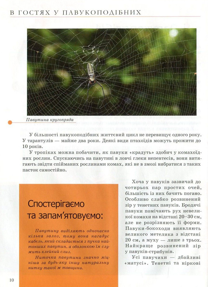 Книга Комахи та інші. Енциклопедія для допитливих. Фото 13