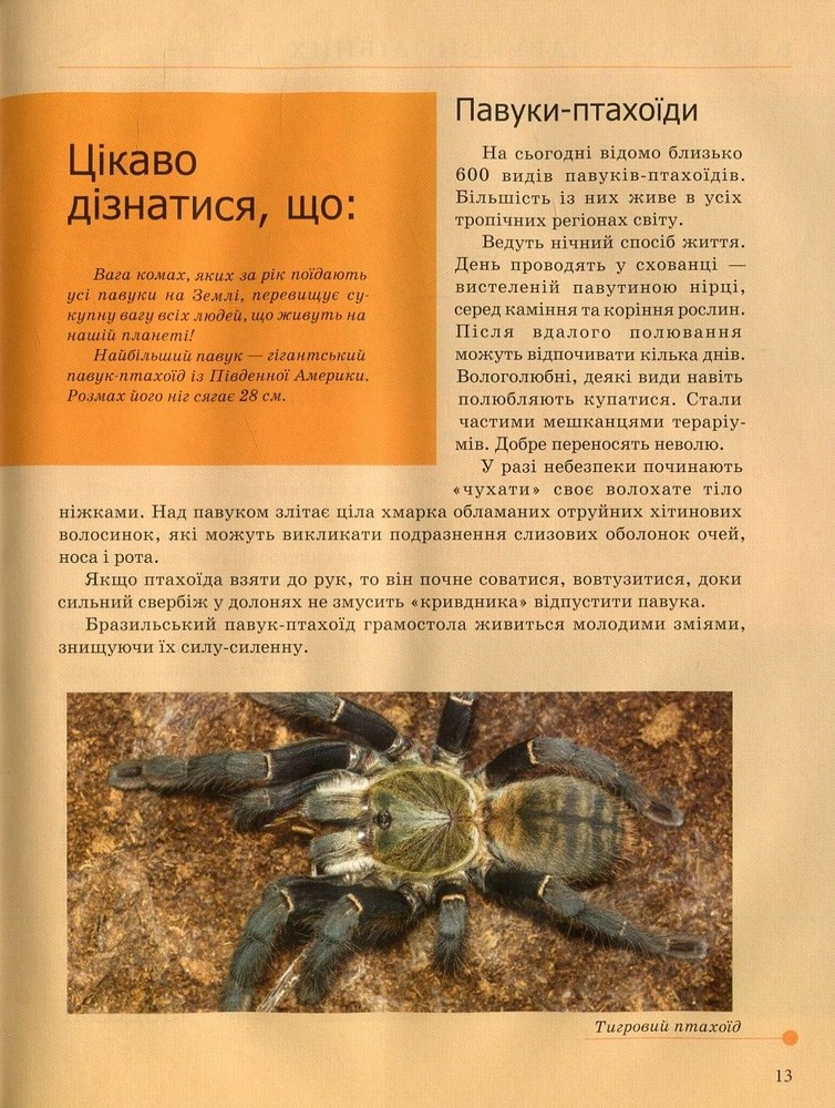 Книга Комахи та інші. Енциклопедія для допитливих. Фото 16