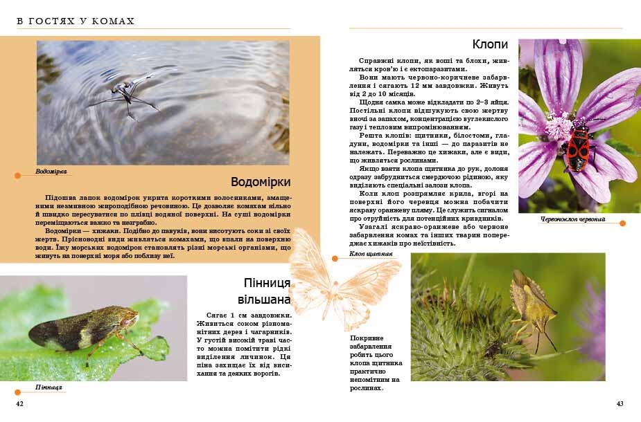 Книга Комахи та інші. Енциклопедія для допитливих. Фото 3