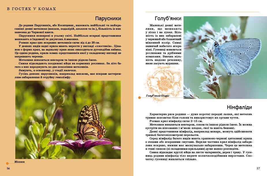 Книга Комахи та інші. Енциклопедія для допитливих. Фото 5