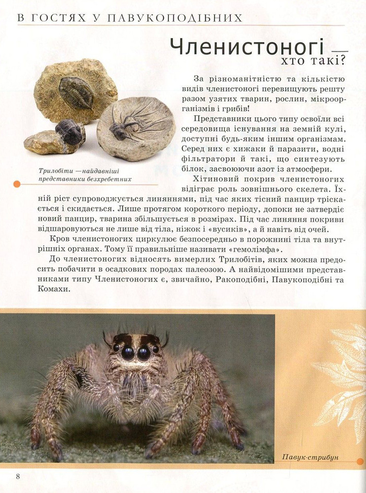 Книга Комахи та інші. Енциклопедія для допитливих. Фото 11