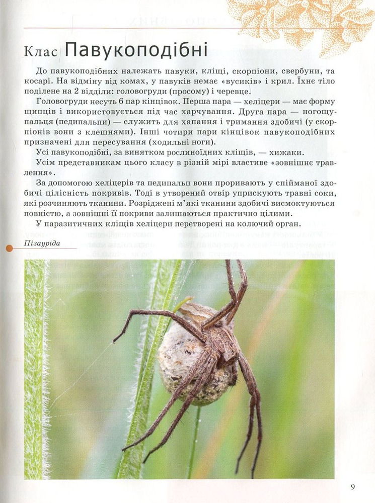 Книга Комахи та інші. Енциклопедія для допитливих. Фото 12