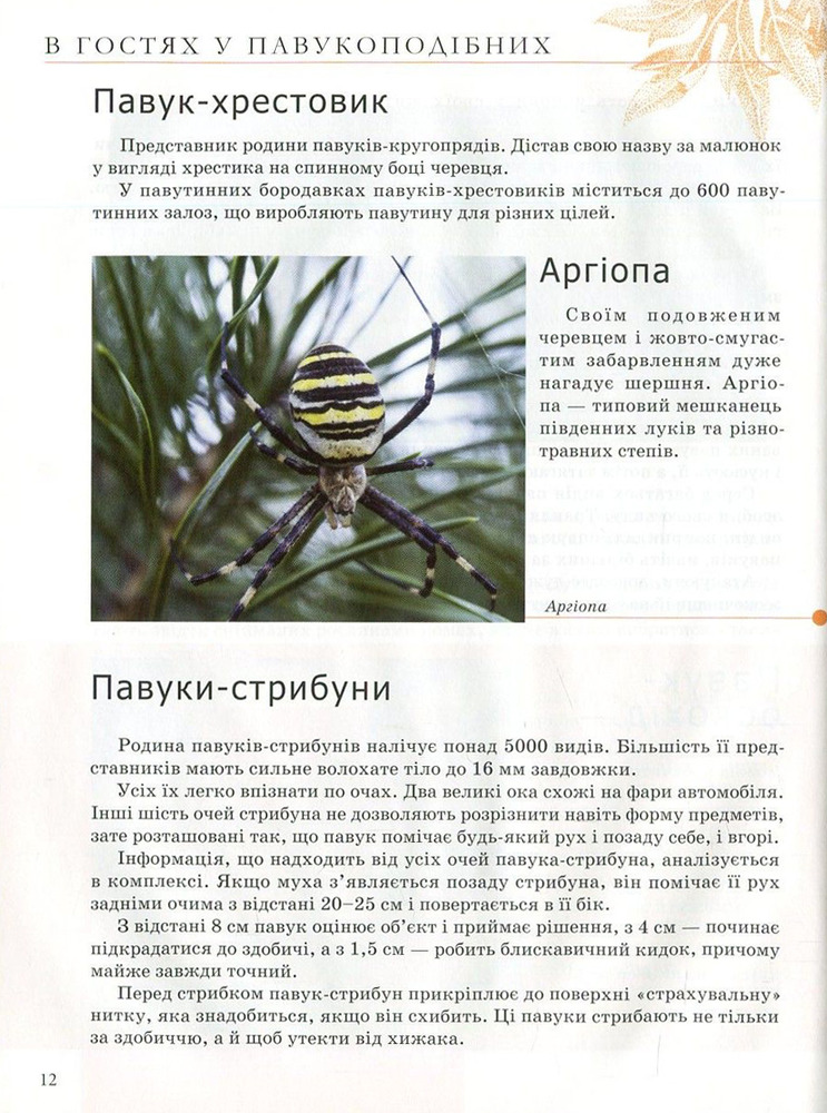 Книга Комахи та інші. Енциклопедія для допитливих. Фото 15