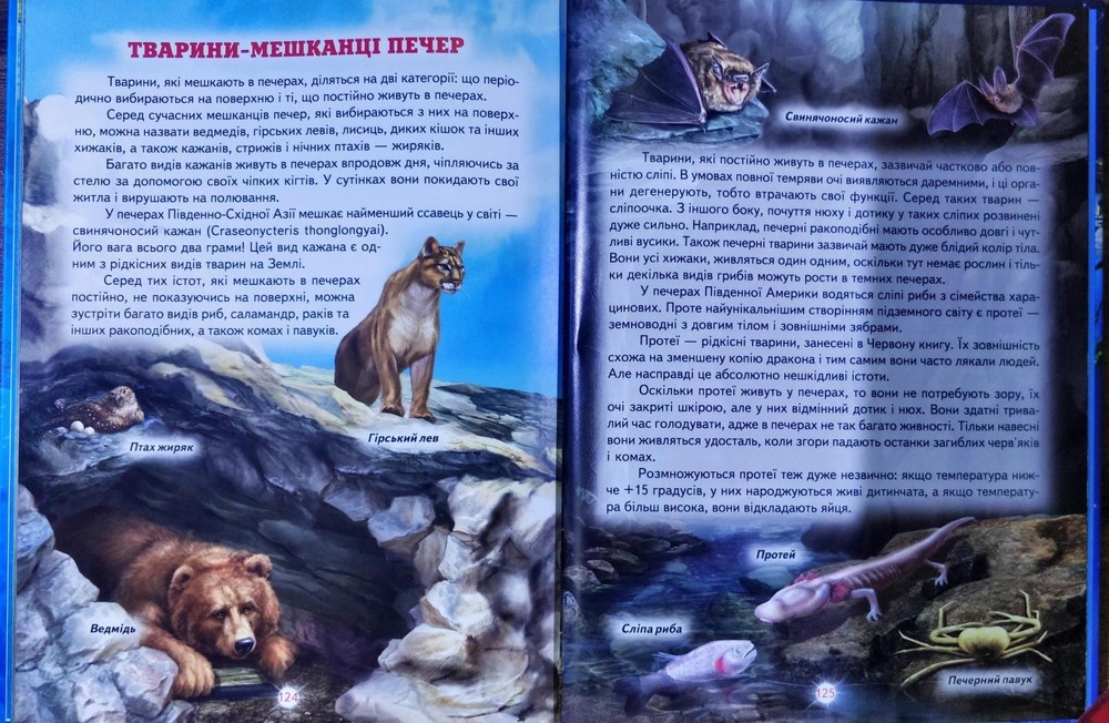 Книга Енциклопедія для чомучок. Книга 2 (синя) . Фото 11