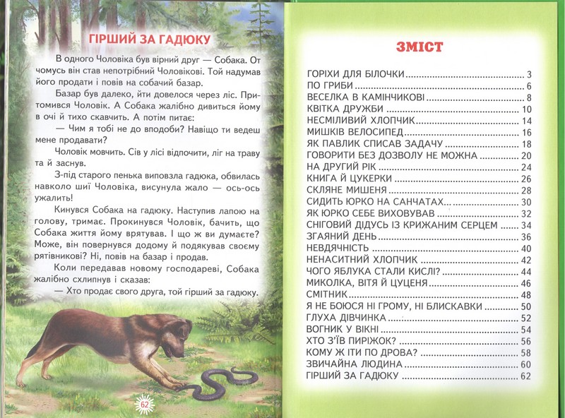 Книга Веселка. Горіхи для білочки. Фото 3