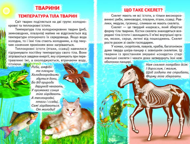 Книга Пізнаємо світ разом. Тварини і рослини. Фото 4