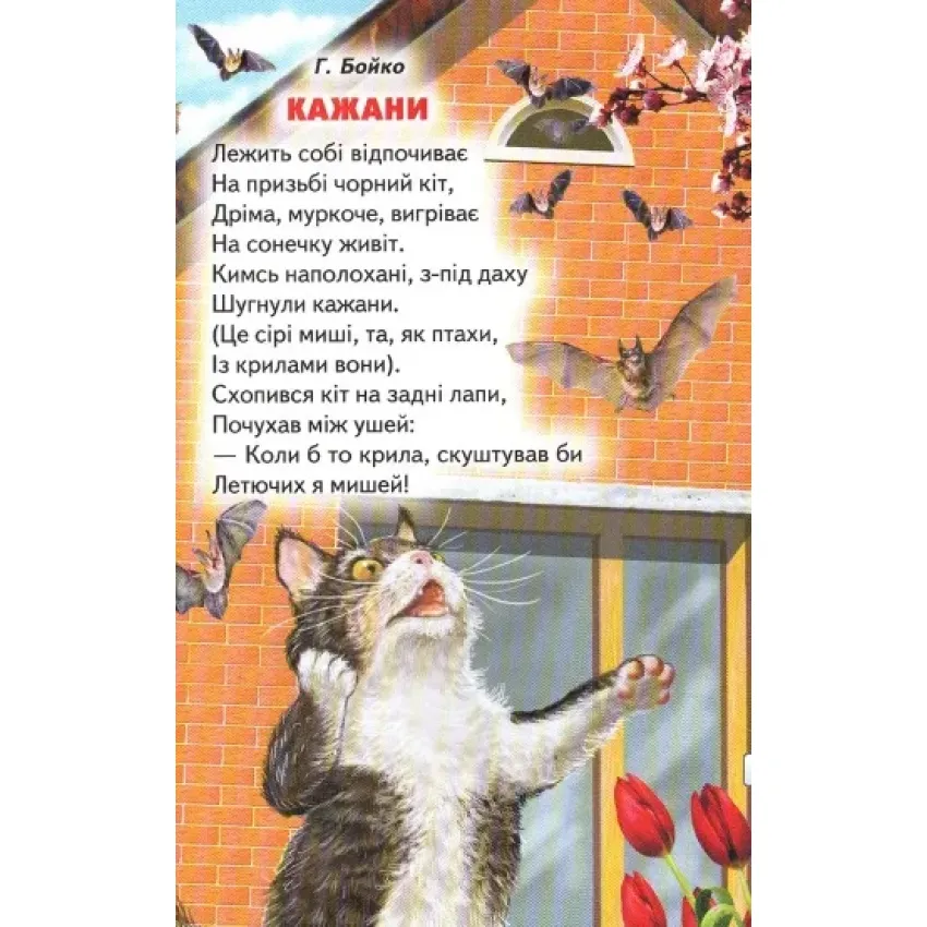 Книга Веселка. Кольлорові віршики. Фото 7