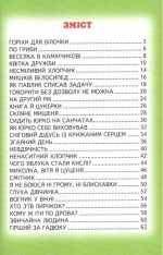 Книга Веселка. Вогник у вікні. Фото 5