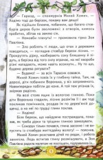 Книга Веселка. Лісові друзі. Фото 4