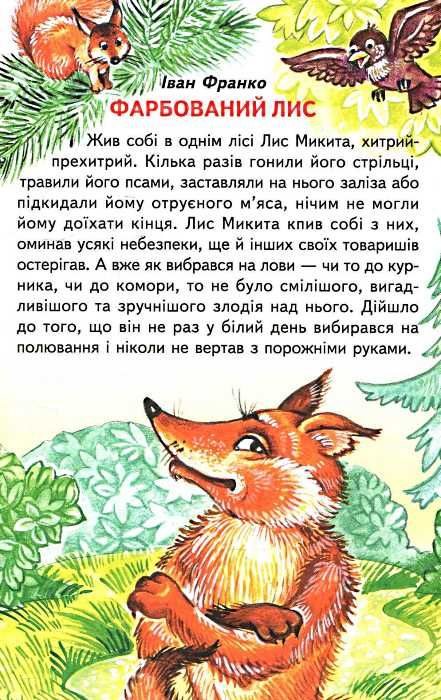 Книга Веселка. Казкова країна. Фото 4