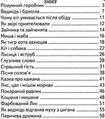 Книга Веселка. Казкова скринька. Фото 3