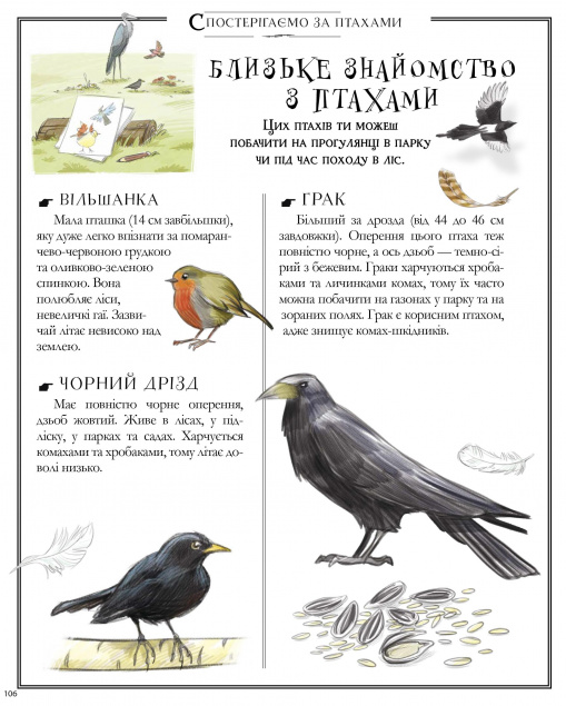 Книга Boys’ Book. Підручник відважного мандрівника - Мішель Лекре. Фото 9