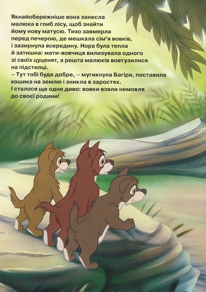 Книга Магічна колекція. Книга Джунглів. Фото 8