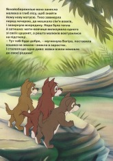Книга Магічна колекція. Книга Джунглів. Фото 8