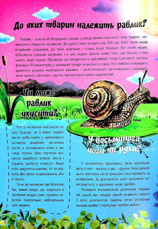 Книга Найцікавіше про водний світ у питаннях і відповідях. Фото 7