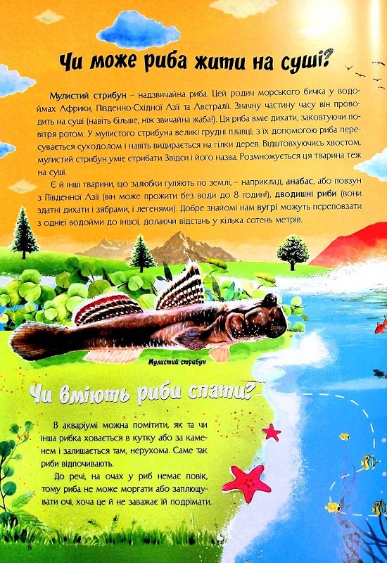Книга Найцікавіше про водний світ у питаннях і відповідях. Фото 9