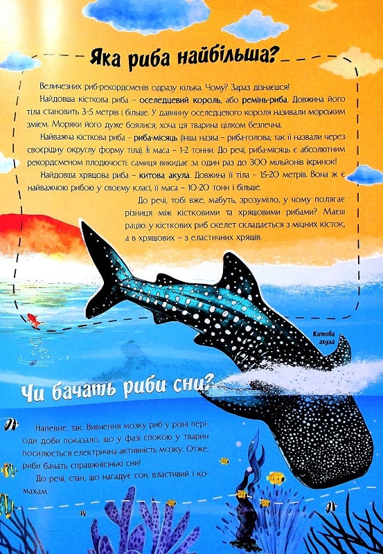 Книга Найцікавіше про водний світ у питаннях і відповідях. Фото 10