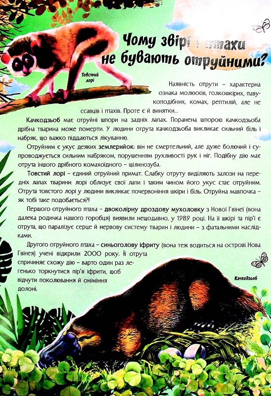 Книга Найцікавіше про світ тварин у питаннях і відповідях. Фото 11