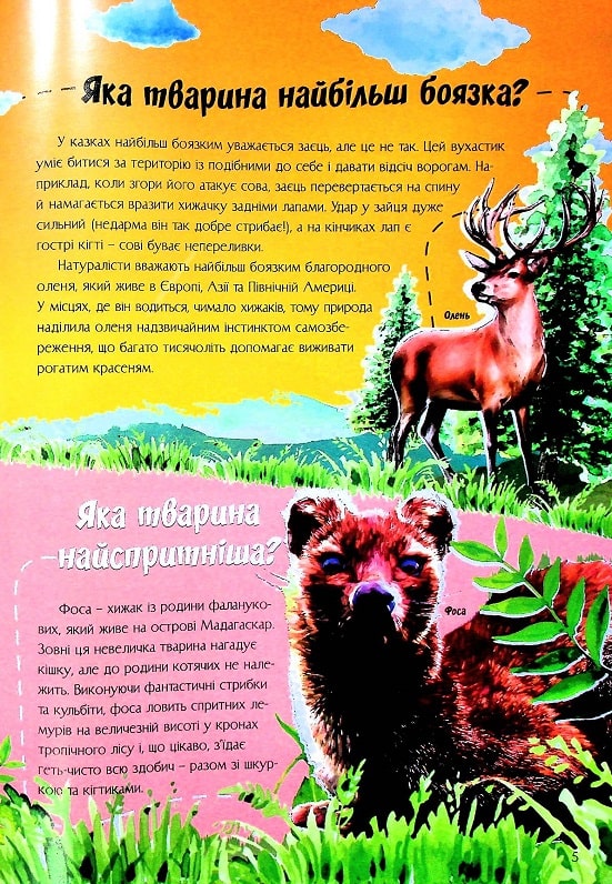 Книга Найцікавіше про світ тварин у питаннях і відповідях. Фото 8