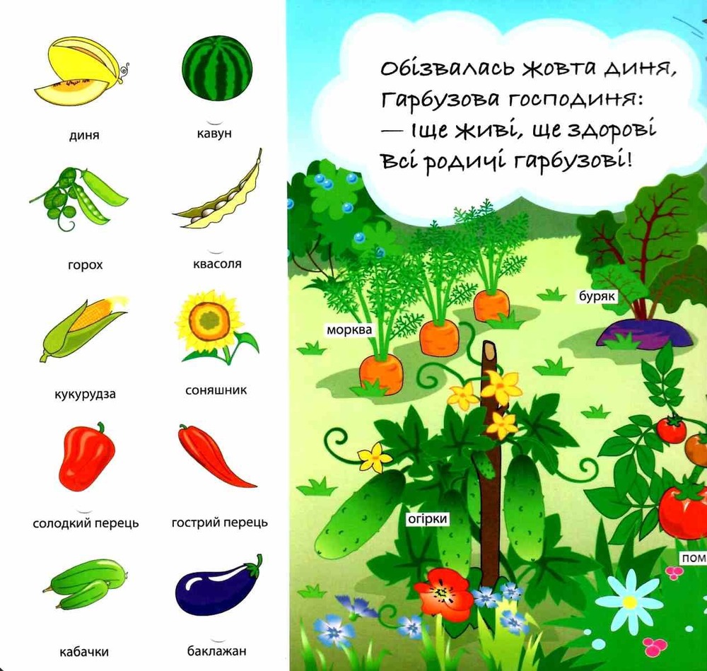 Книга  Ходить гарбуз по городу. 50 віконець.. Фото 2