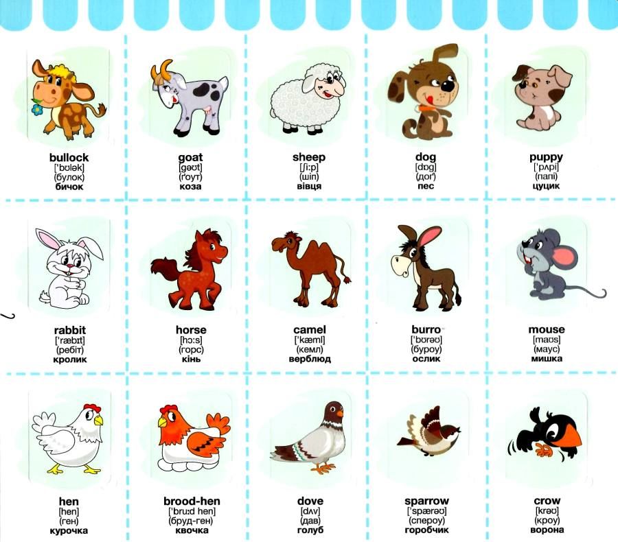 КХ Кн.з Вік. ABC Animals. 50 віконець.. Фото 3