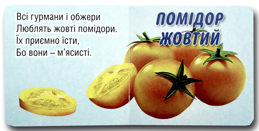 КХ А-6(13*13) Щоцики-4. Фото 2