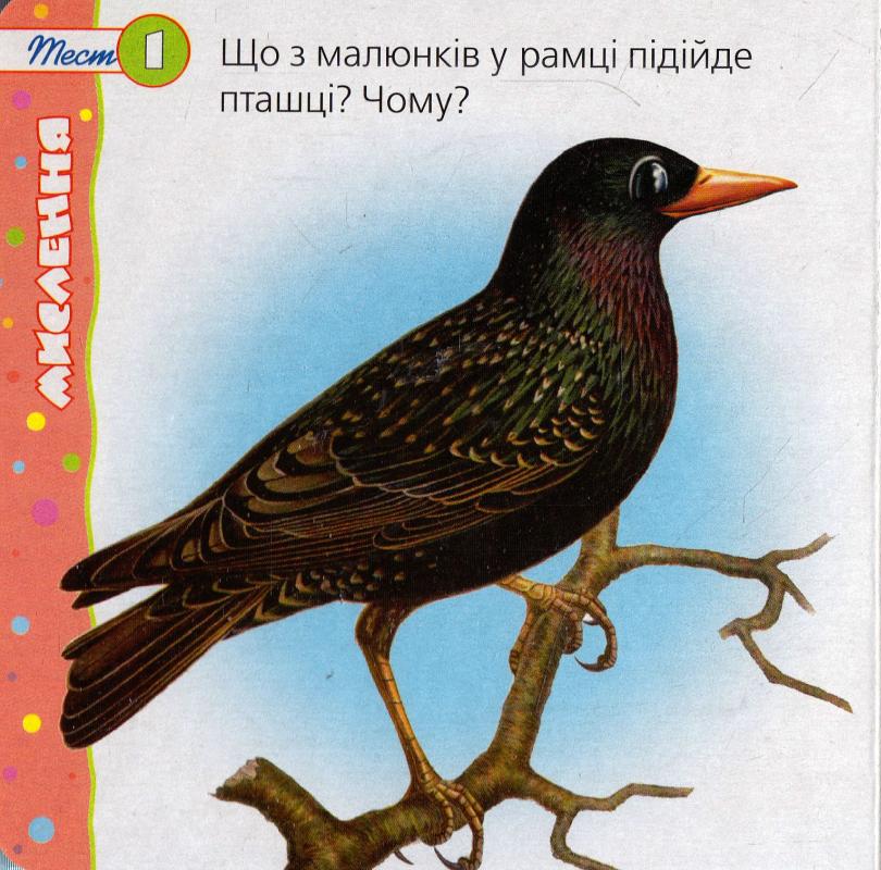 Книжка-картонка. Мислення. Фото 2