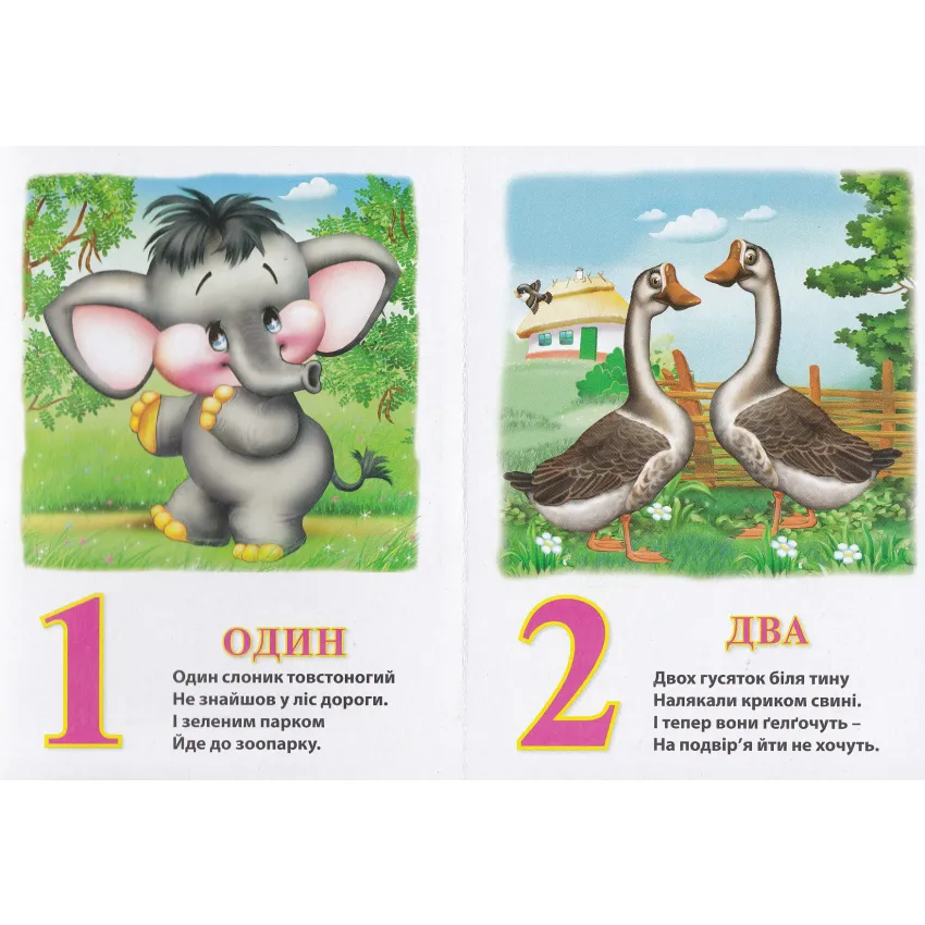 Книга Рахівничка. Фото 2