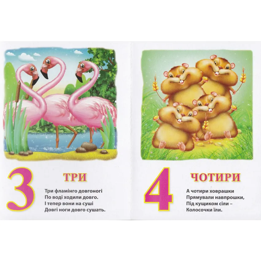 Книга Рахівничка. Фото 3