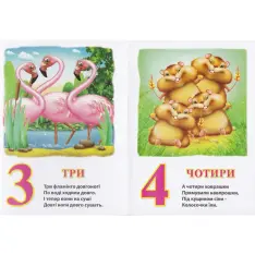 Книга Рахівничка. Фото 3