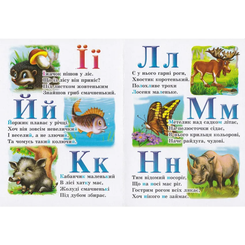 Книга Лісова абетка. Фото 4