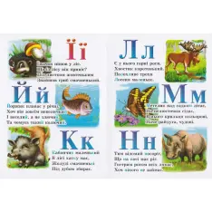 Книга Лісова абетка. Фото 4