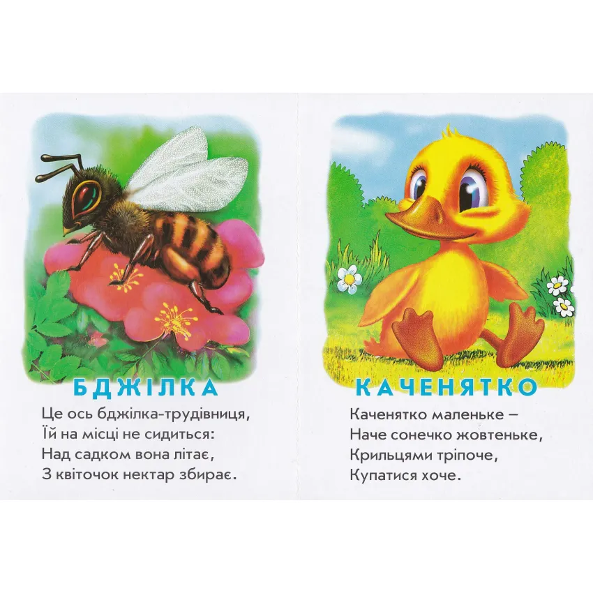 Книга Хто це? Каченя. Фото 4