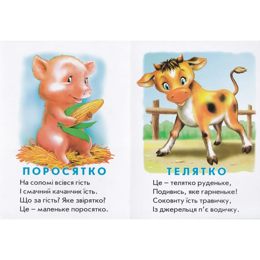 Книга Хто це? Каченя. Фото 2
