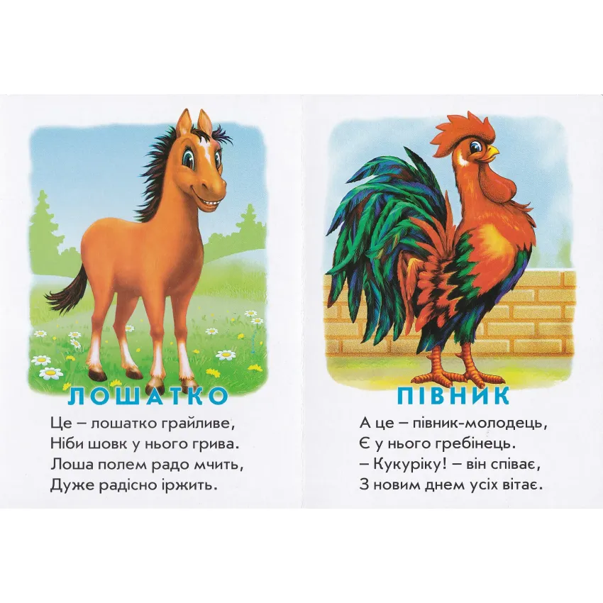 Книга Хто це? Каченя. Фото 3