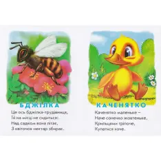 Книга Хто це? Каченя. Фото 4