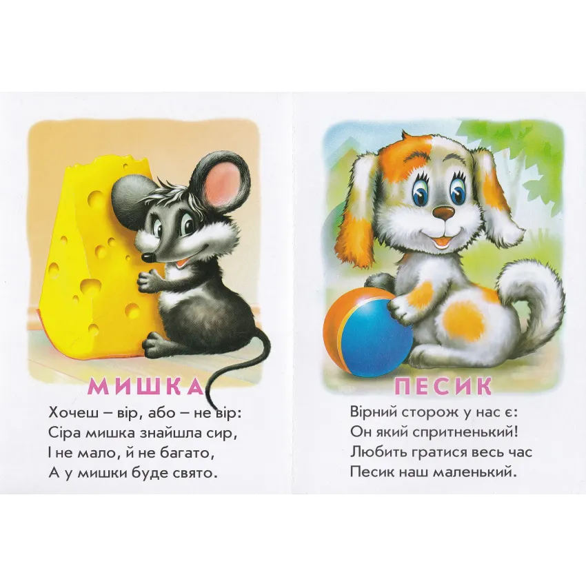 Книга Хто це? Котик. Фото 2