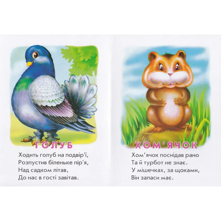 Книга Хто це? Котик. Фото 3