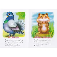 Книга Хто це? Котик. Фото 3